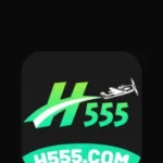H555 Game