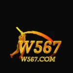 W567 Game